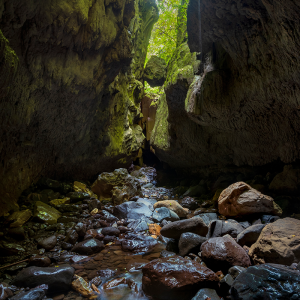 Expedición a las Cuevas del Lago Bayano
