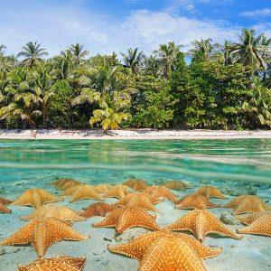 Caribe Panameño: Aventura, Naturaleza y Playas de Ensueño