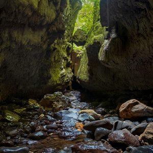 Cuevas en el Lago Bayano, Panamá con exuberante vegetación