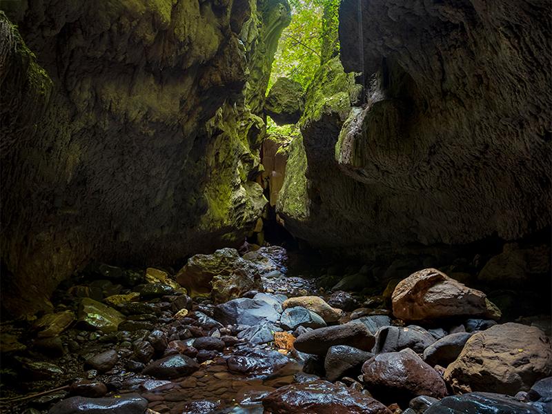 Cuevas en el Lago Bayano, Panamá con exuberante vegetación